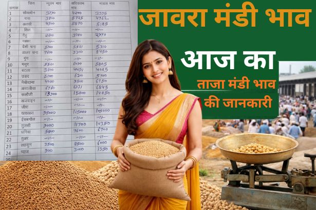 Jaora Mandi Bhav Today – ताज़ा मंडी भाव की जानकारी