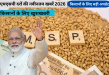 MSP Rate Today 2026: गेहूं, धान और फसलों के नए समर्थन मूल्य MSP Rate Today 2026: गेहूं, धान और फसलों के नए समर्थन मूल्य
